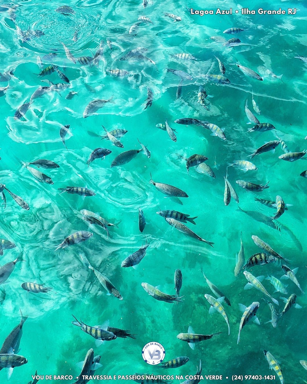Lagoa Azul — passeio Ilha Tour 90° em Ilha Grande
